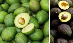 Jakie awokado wybrać, aby uniknąć rozczarowania w guacamole?