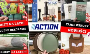 Co warto kupić w Action? Najlepsze produkty i ukryte okazje