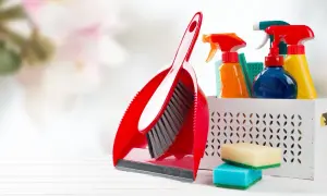Niemiecka chemia co warto kupić: Najlepsze produkty do sprzątania