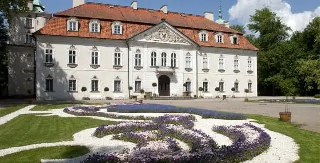 Zdjęcie Co warto kupić w Stanach? Odkryj najlepsze okazje i oszczędności